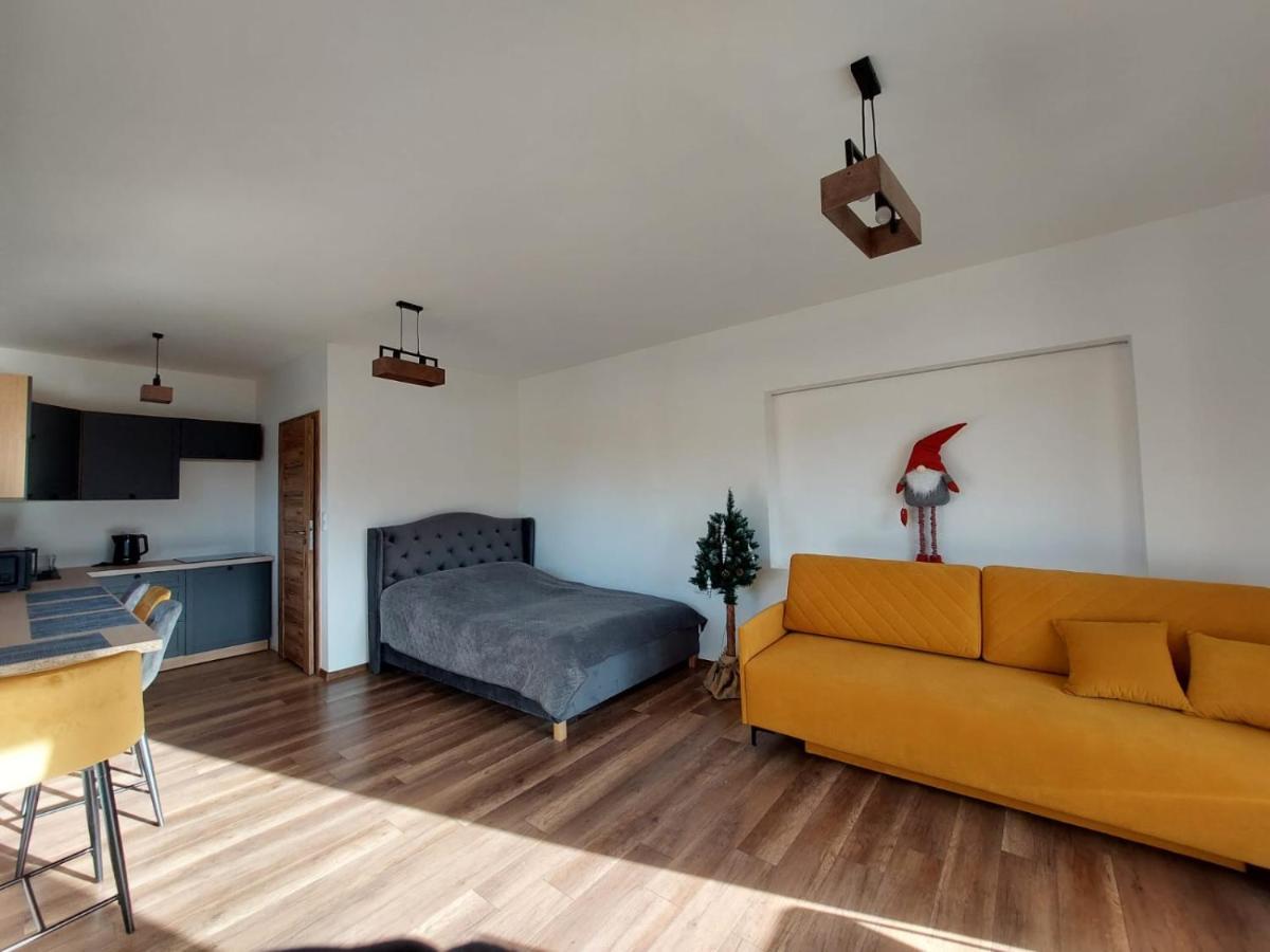 Appartamento Topor Apartament Widokowy Z Placem Zabaw Kościelisko Esterno foto